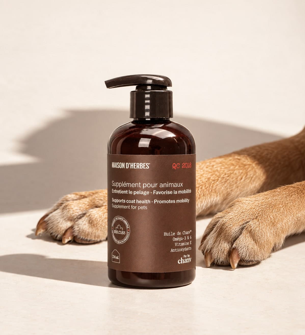 Flacon de supplément pour animaux entre les pattes avant d’un chien