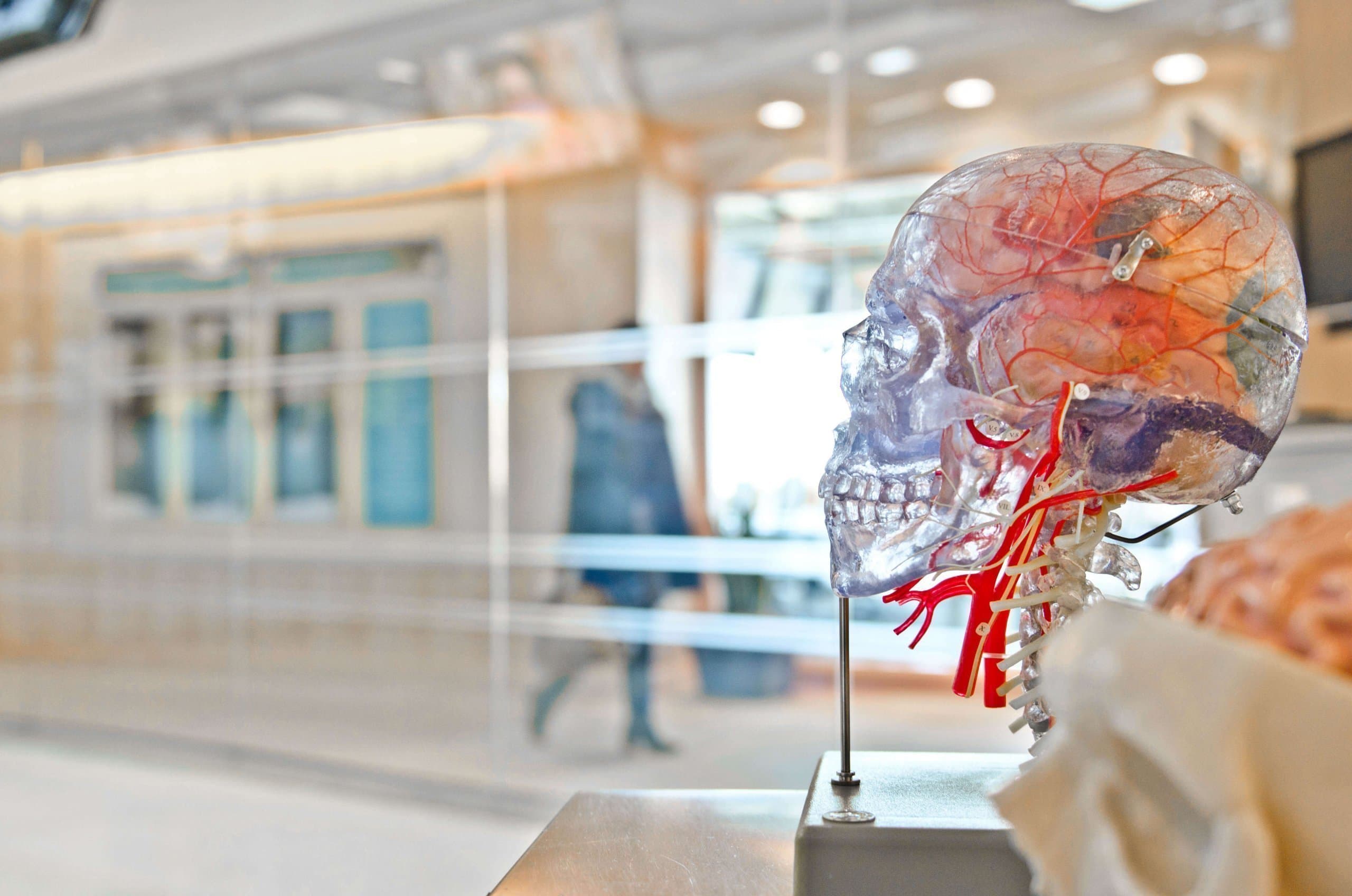 Les acides gras essentiels sur le cerveau et les tissus