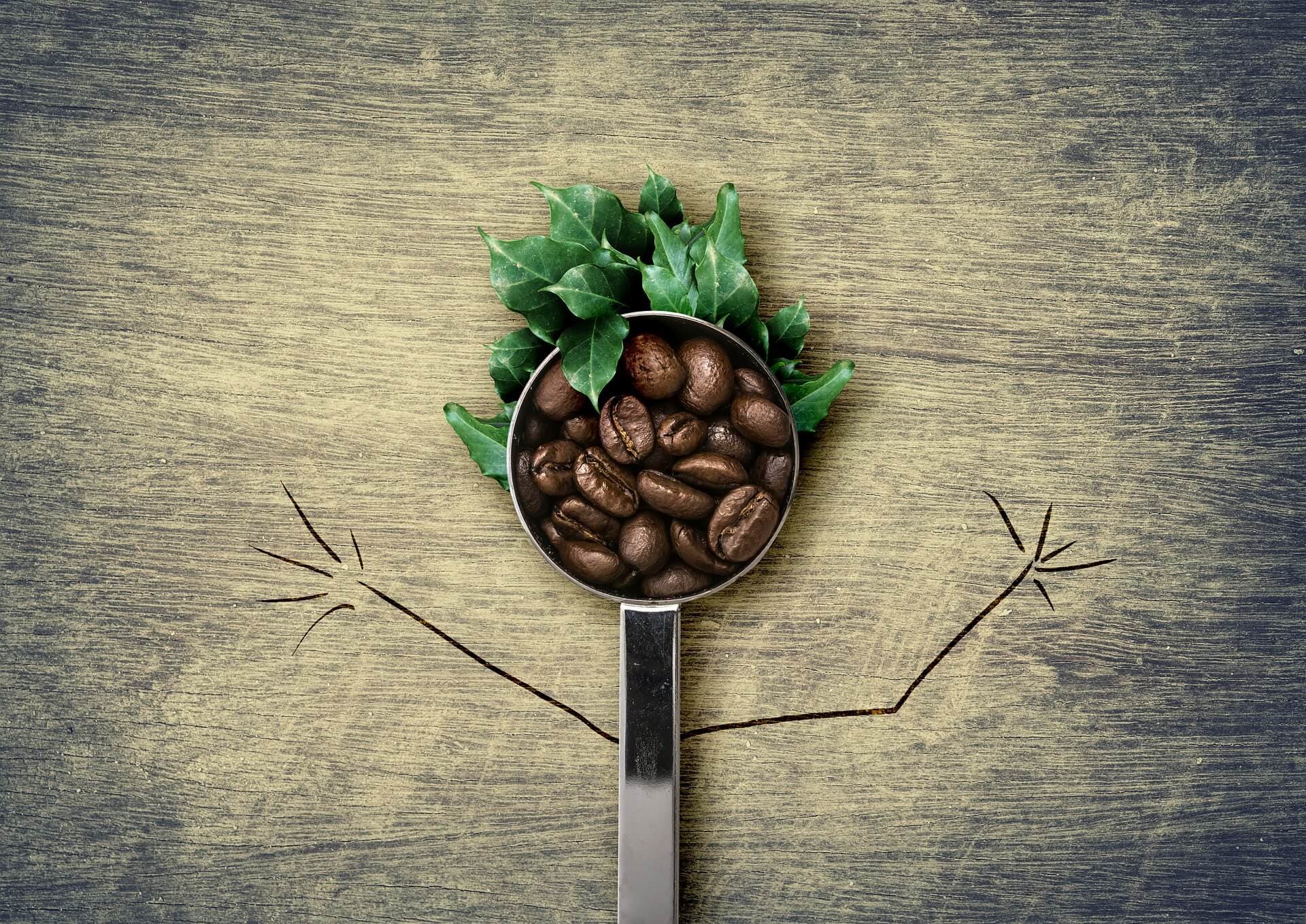 Cannabis et café, un mélange prometteur?