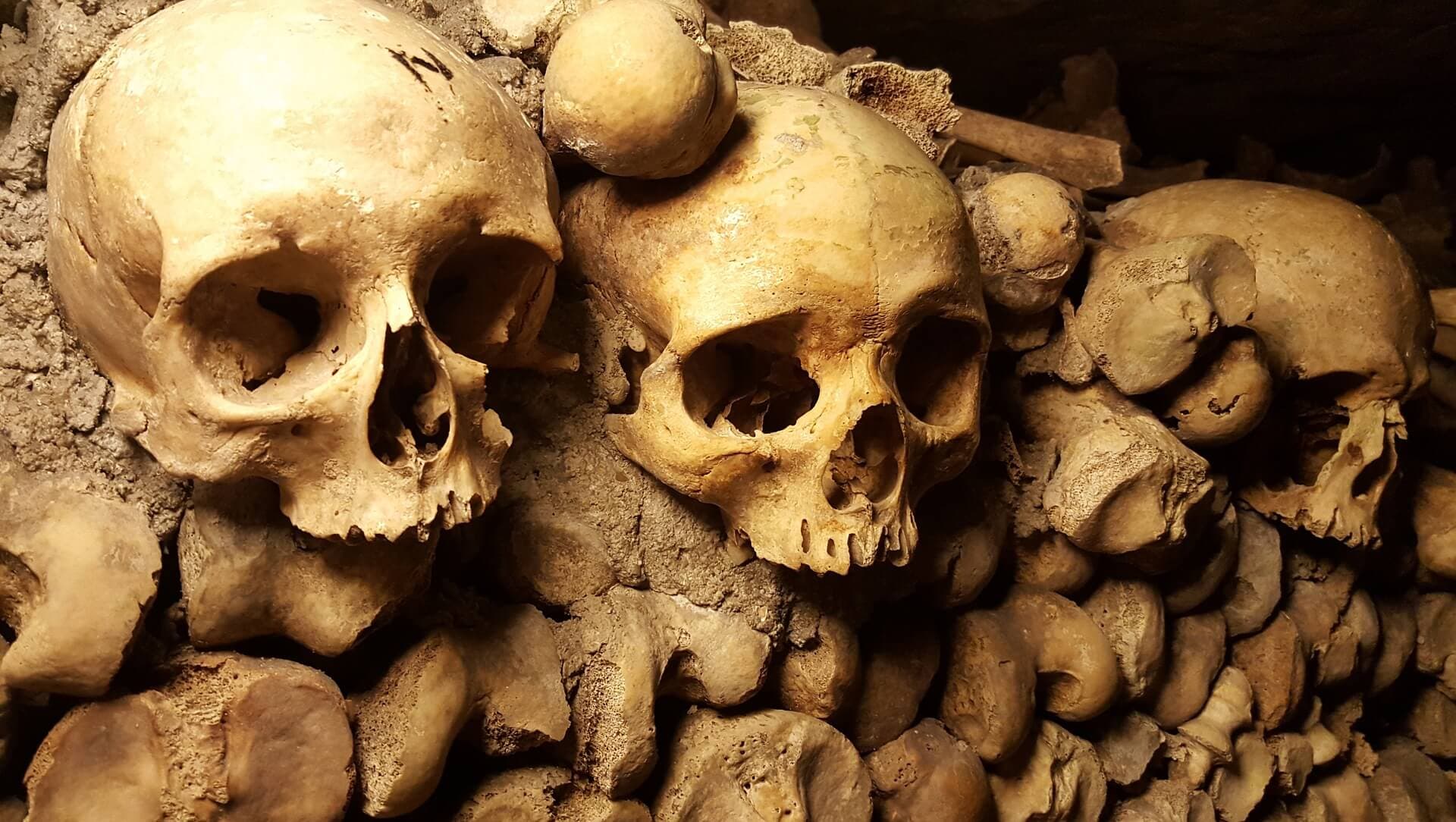Cannabis et humains, une longue histoire d’amour!
