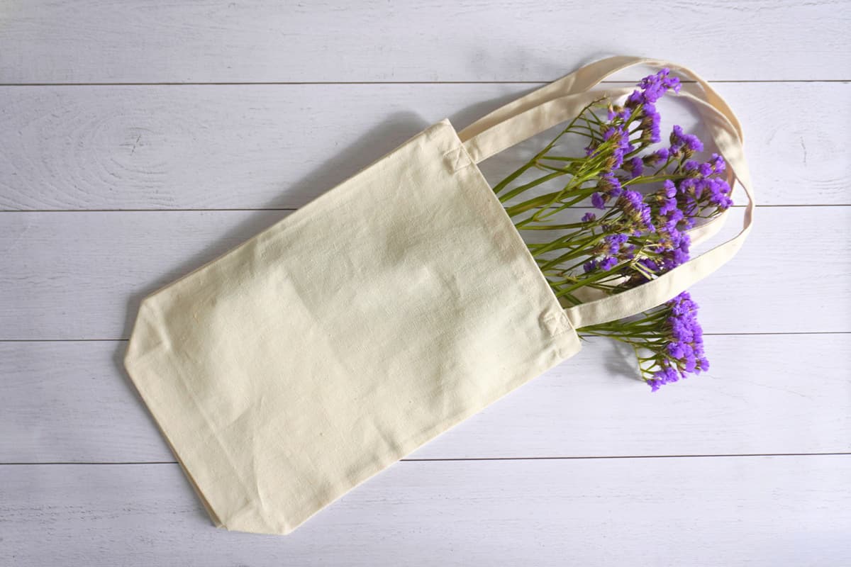 Un sac réutilisable digne du 21e siècle